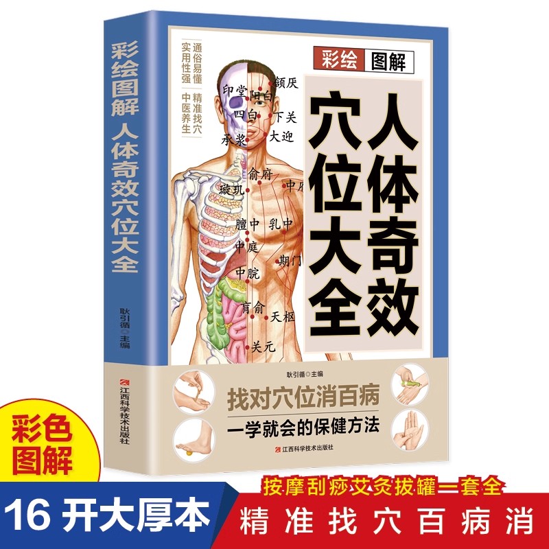 Health & Wellness Japan 2026 - Guía de masaje de puntos de