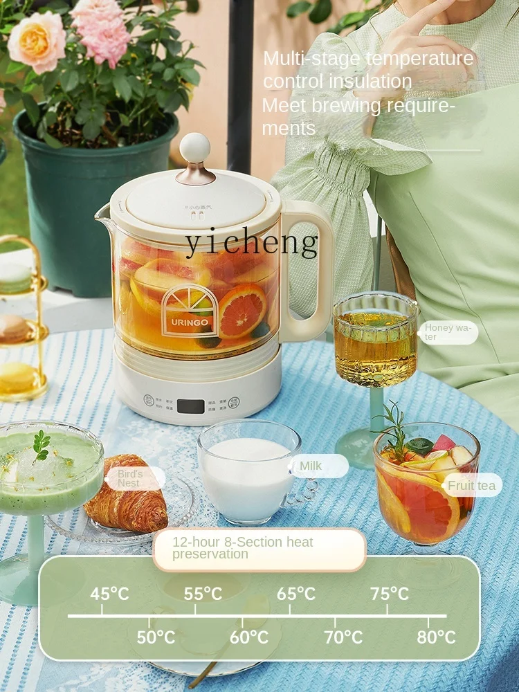 Hervidor de té multifuncional  - Health & Wellness Japan 2026 reseña y precio
